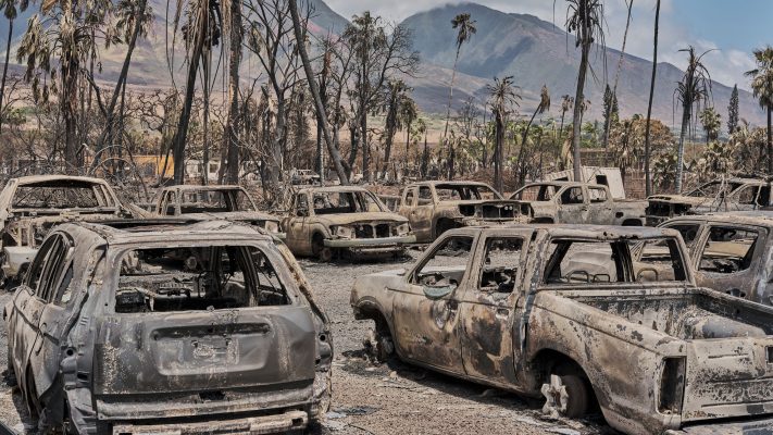 Shkon në 67 numri i viktimave nga zjarret në Hawai, mijëra njerëz të tjerë të evakuuar orët e fundit