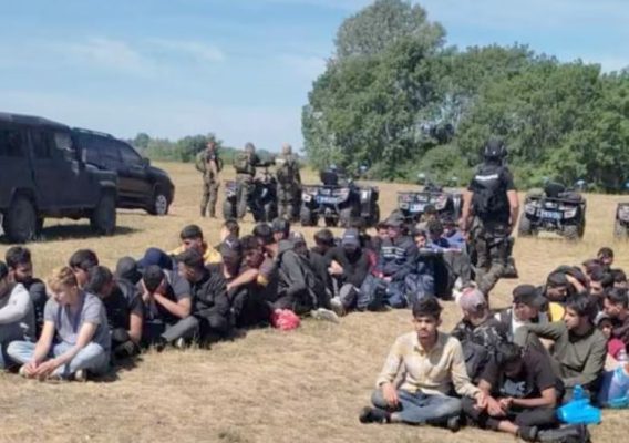 Policia serbe gjen emigrantë dhe armë në kufirin me Hungarinë