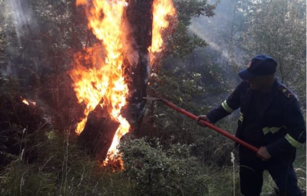 Zjarri përfshin masivin pyjor në Kolonjë/ Digjen 5 hektarë drurë, zjarri në kufirin me Greqinë