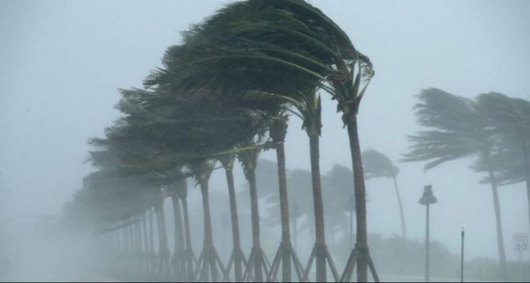 Fatkeqësitë natyrore godasin SHBA/ Biden: Uragani Idalia me pasoja, nuk i kam harruar viktimat e zjarrit në Havai