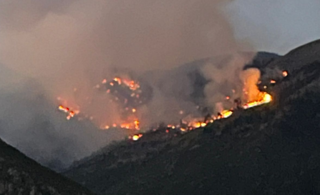 Vatër zjarri në malin e Shpiragut, zjarrfikësit në “luftë” me terrenin e vështirë