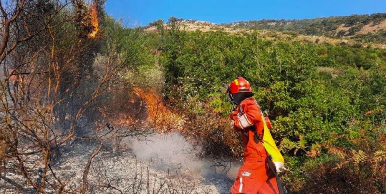Zjarri në malin e Shpiragut, Peleshi: Ndërhymë nga ajri, flakët drejt izolimit të plotë