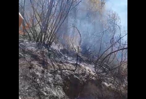 Zjarri djeg ullishtet në Berat/ Era përhap me shpejtësi flakët