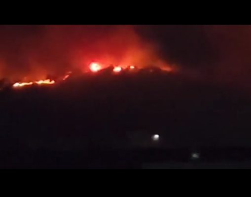 VIDEO- Zjarri përfshin kodrat me ullishte në Lushnje/ Flakët “kërcënojnë” banesat