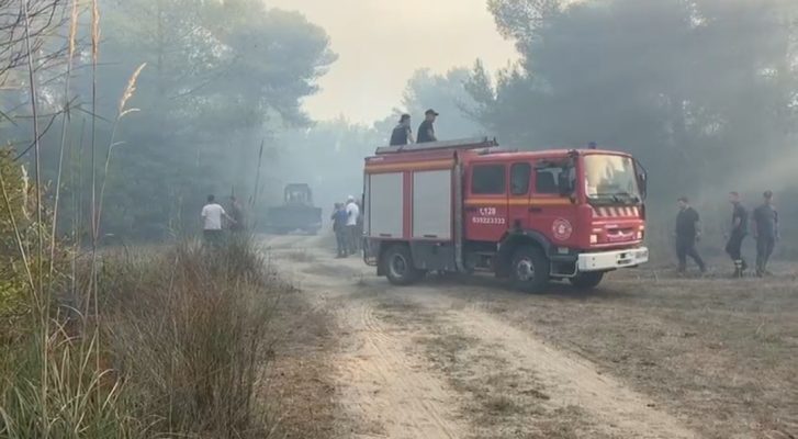 Zjarri në Pish-Poro/ Prefekti Shehaj: Katastrofë mjedisore