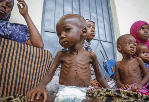 OKB: Mbi 700 milionë njerëz nuk e dinë nëse do të ushqehen më