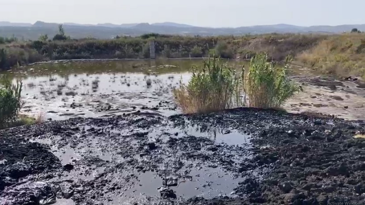 Derdhen hidrokarburet në gropa në Fier/ Ambientalistët: Ndotje e lartë e tokës dhe e ujërave