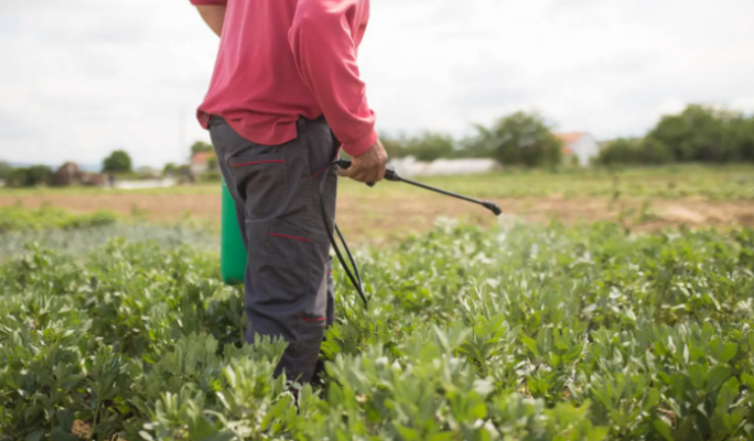 Rreziku nga përdorimi i pesticideve/ Tregjet europiane refuzojnë produktet shqiptare