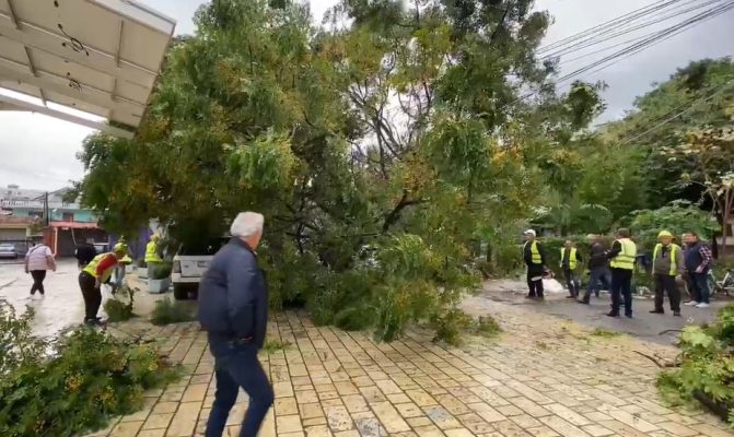 Video- Stuhia “paralizon” vendin/ Thyhen pemët në Shkodër