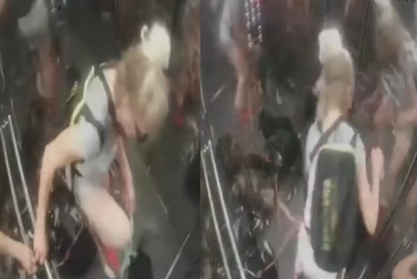 Dhunonte qentë në ashensor/ Policia procedon penalisht 51-vjeçaren