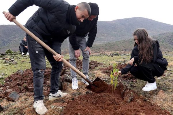 Nis pyllëzimi në Elbasan dhe Librazhd, Rama: Në Marinaj janë mbjellë 5 mijë fidanë
