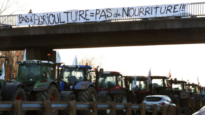Protestat në Francë, fermerët francezë refuzojnë paketën e qeverisë