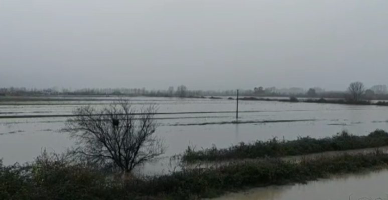 Reshjet e dendura nxjerrin nga shtrati lumin Ishëm, përmbyten dhjetra hektarë tokë bujqësore