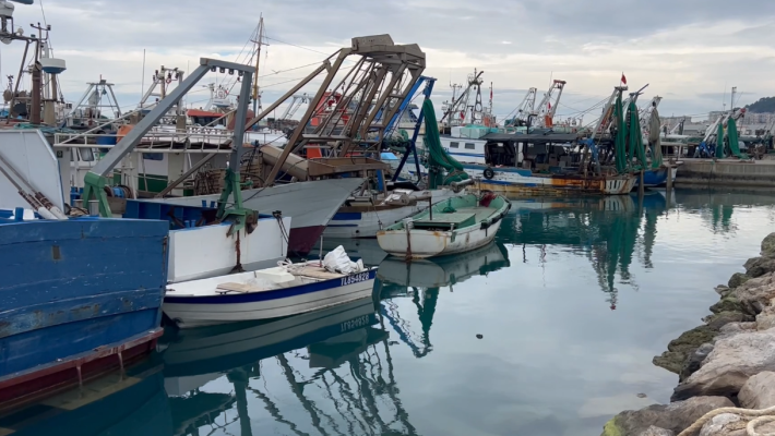 Të huajt zgjedhin Durrësin, afro 300 anije egjiptiane punojnë në sektorin e peshkimit