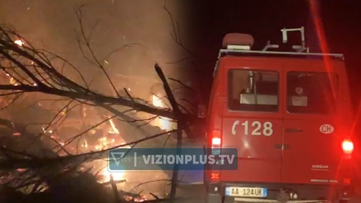 Zjarri përfshin pyllin e Sodës në Vlorë, era përhap me shpejtësi flakët