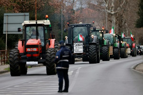 Fermerët italianë kundër burokracive dhe importeve të lira, shëtisin lopët në rrugët e Milanos