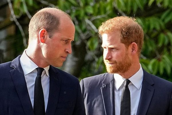 Princi William xheloz për Harryn? Arsyeja e fortë pse ka zili vëllanë e vogël