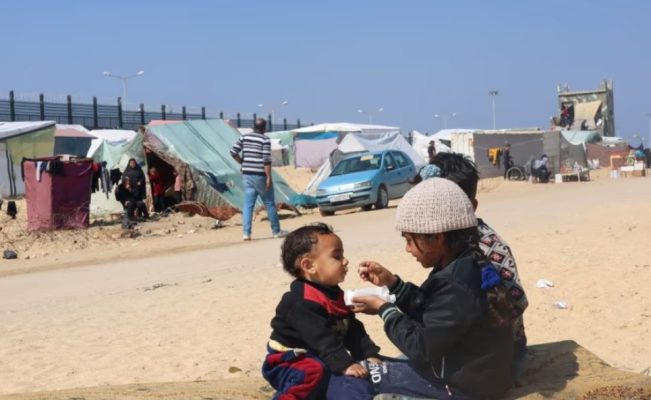 OKB: Çereku i popullsisë së Gazës është një hap larg urisë