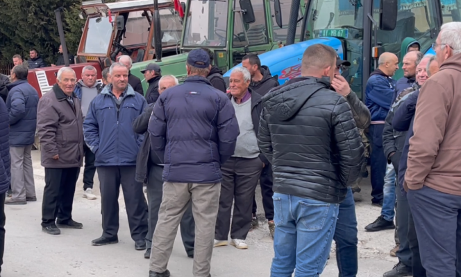Protestë për grurin e qumështin, fermerët në Devoll: Po na shkatërron importi, qeveria të reagojë Protestë për grurin e qumështin, fermerët në Devoll: Po na shkatërron importi, qeveria të reagojë
