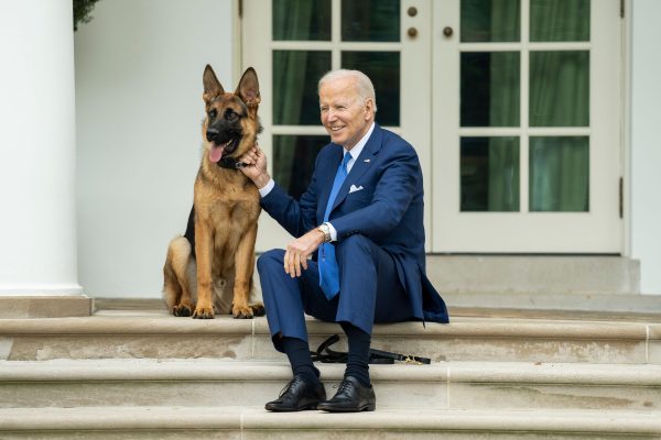 Dalin në dritë dëshmitë, qeni i Biden kafshoi 24 agjentë të Shërbimit Sekret