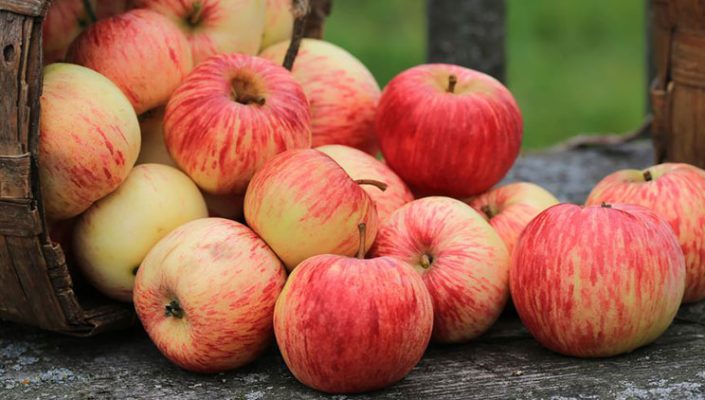 Truku që ju ndihmon të dalloni nëse mollët janë të freskëta ose jo