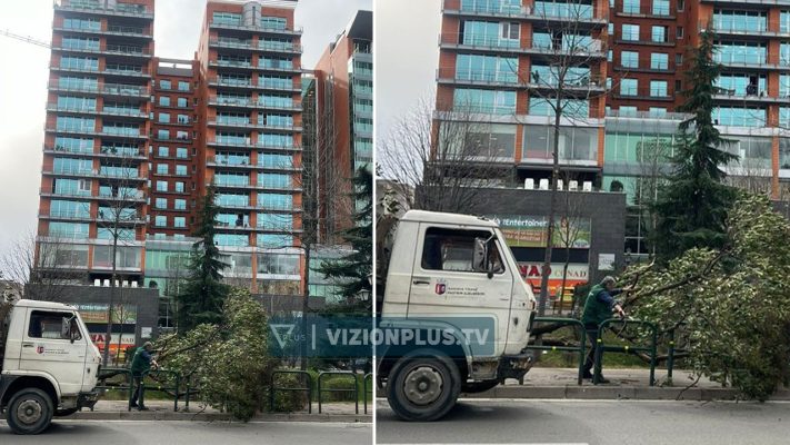 “Çmendet moti”, era e fortë rrëzon pemën në Tiranë