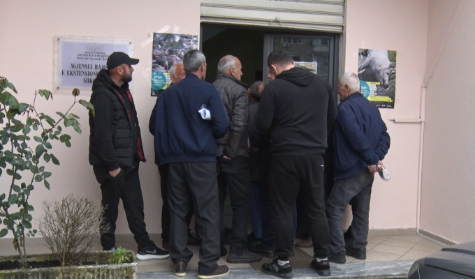 Nisin aplikimet për subvencione, shumë fermerë penalizohen pasi nuk kanë cerifkata pronësie për tokën