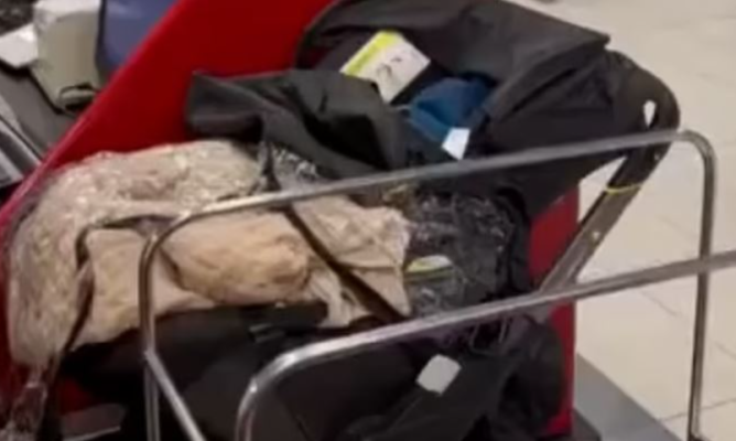 VIDEO/ Çnjerëzore, prindërit braktisën fëmijën në avion pasi nuk i kishin prerë biletë për udhëtim
