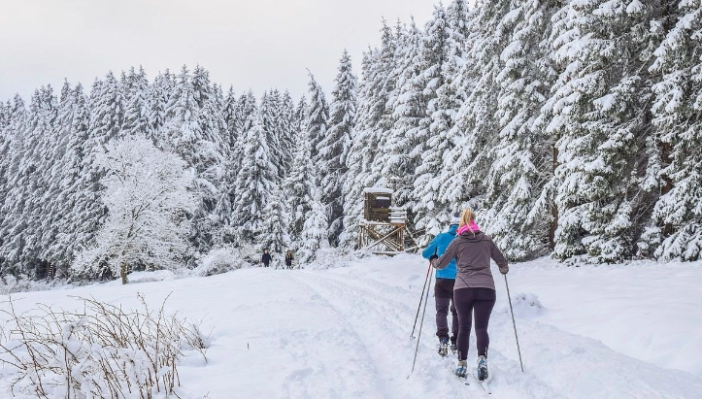 Gjashtë skiatorë të zhdukur në Zvicër, moti i keq pengon kërkimin