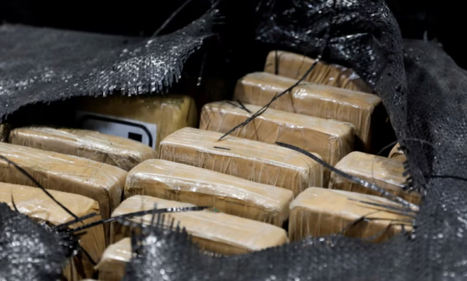 E fshehur mes bananeve nga Ekuadori, sekuestrohen 170 kilogramë kokainë në Bullgari