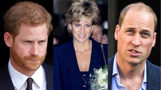 Kjo ishte dëshira që Princeshë Diana kishte për William-in dhe Harry-n, por ata nuk e përmbushën