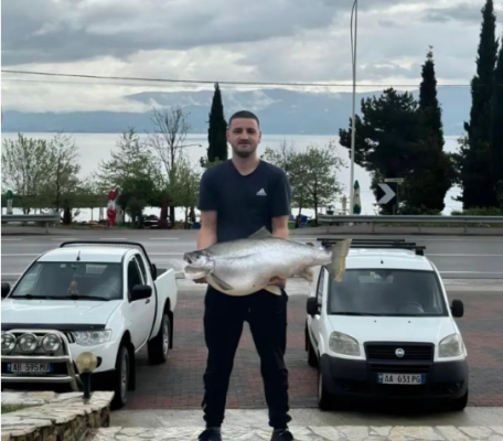 Peshkatari kap në liqenin e Pogradecit peshkun “Koran” mbi 13 kg
