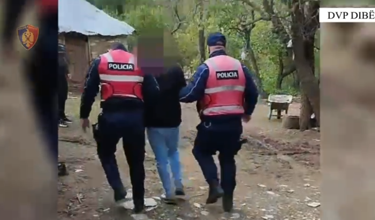 Diber, hajduti makinave