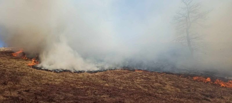 Vijon zjarri në pyjet e Pogradecit, flakët favorizohen nga era e fortë