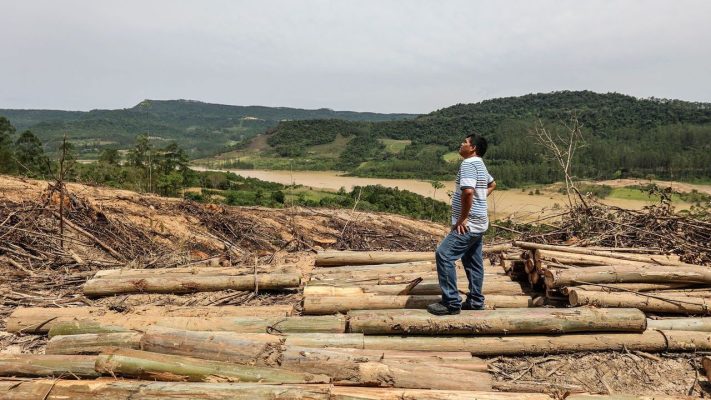 Brazili dhe Kolumbia po frenojnë shkatërrimin e pyjeve tropikale të Amazonës