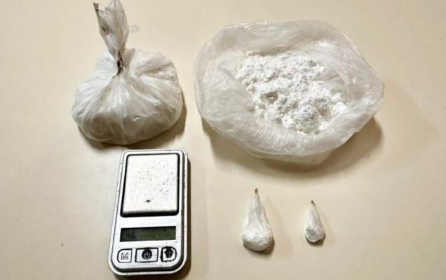Qeni “fundos” trafikantin, i gjen kokainën me vlerë 30 mijë euro