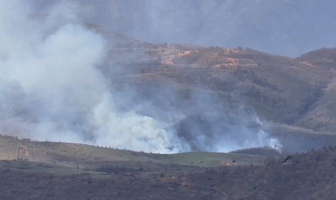 Zjarr në një masiv pyjor në Bulqizë, flakët i drejtohen banesave të fshatit