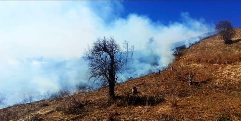 Riaktivizohet zjarri në pyjet e Pogradecit, terreni vështirëson punën e zjarrfikësve