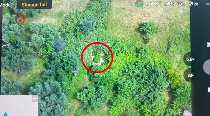 VIDEO/ Dronin te koka, babë e bir kapen “mat” në Vlorë