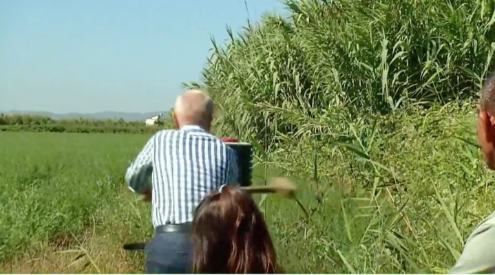VIDEO/ Meta merr varrenë dhe shkul piketat e TEC-it në Roskovec VIDEO/ Meta merr varrenë dhe shkul piketat e TEC-it në Roskovec