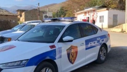 U vuri zjarrin 300 pemë ulliri dhe 6 hektarë me bimësi në Radhimë, arrestohet 36-vjeçari