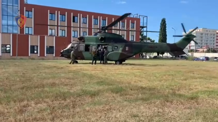 Kontrolle nga toka dhe nga ajri, asgjësohen mbi 14 mijë bimë kanabis në Shkodër