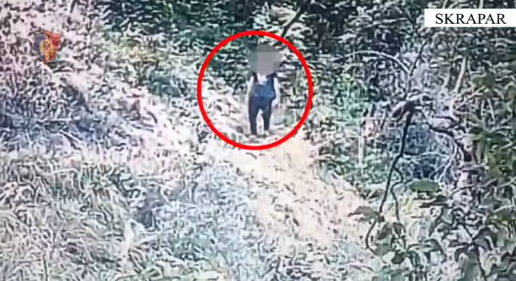 Kultivonin kanabis në Skrapar, arrestohet 31-vjeçari, e pëson i vëllai