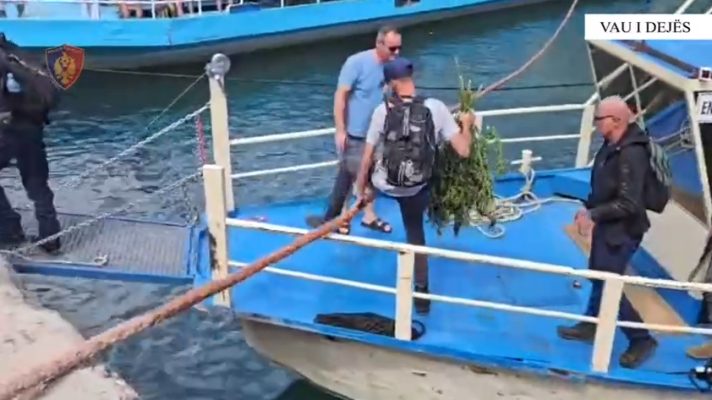 Kontrolle nga toka dhe ajri, asgjësohen mbi 15 mijë bimë kanabis në Vaun e Dejës Kontrolle nga toka dhe ajri, asgjësohen mbi 15 mijë bimë kanabis në Vaun e Dejës