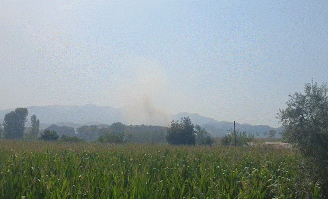 Përfshihet nga flakët landfilli i mbetjeve pranë inceneratorit të Elbasanit