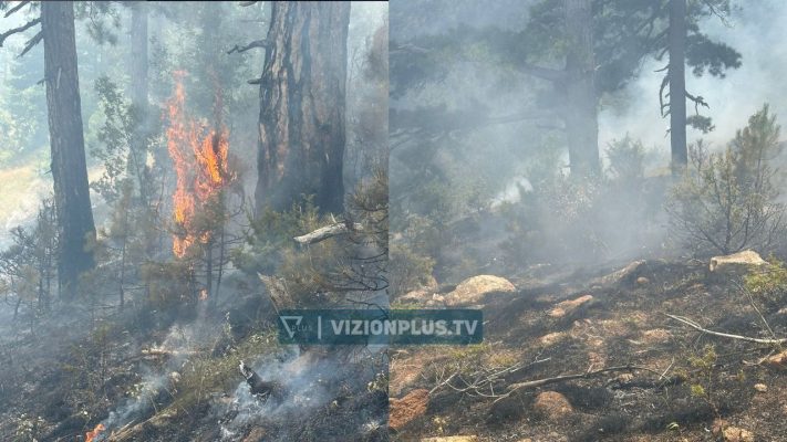 Digjen sipërfaqe të mëdha me pemë e bimësi në Korçë, zjarri dyshohet i qëllimshëm