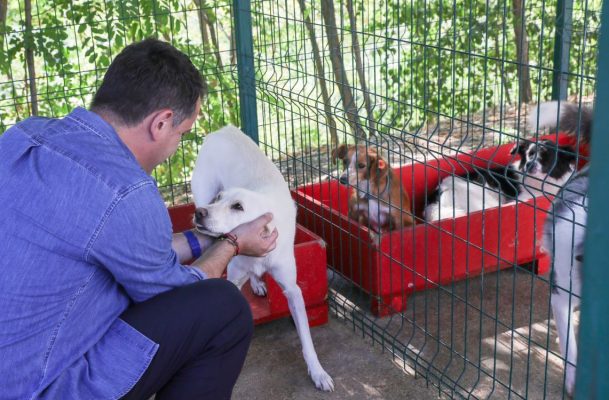 Streha e kafshëve në Tiranë me standarde europiane, Veliaj apel qytetarëve: “Mos i braktisni kafshët në rrugë, silleni për adoptim” Streha e kafshëve në Tiranë me standarde europiane, Veliaj apel qytetarëve: “Mos i braktisni kafshët në rrugë, silleni për adoptim”