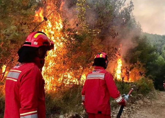 Situata e zjarreve në vend, BE siguron mbështetje për Shqipërinë, dërgon një avion ushtarak shumëfunksional Situata e zjarreve në vend, BE siguron mbështetje për Shqipërinë, dërgon një avion ushtarak shumëfunksional