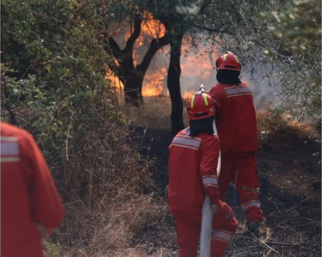 Rama mirënjohje forcave zjarrfikëse dhe Emergjencave në terren  Po rrezikojnë jetën