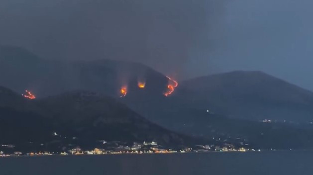 Zjarret në Shqipëri  PD akuzon qeverinë  Rama e ka bërë ushtrinë e një vendi të NATO s  organizatë që shkon të fikë flakët me shkurre dhe pagure